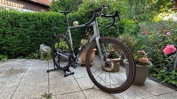 Gebrauchtes Giant TCR Advanced Pro 0 Di2 2025 2025 Road & Gravel, Hellgrau — Bild 5 von 32