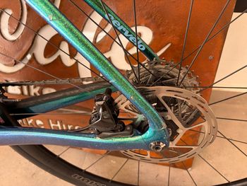 Used Cervélo Caledonia-5 Rival eTap AXS 2024 2024 Road & Gravel, Green — image 4 of 7