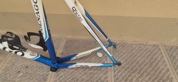 Used Colnago Frame Colnago C59 Colore Italia Frameset 2013 Road & Gravel, White — image 4 of 6