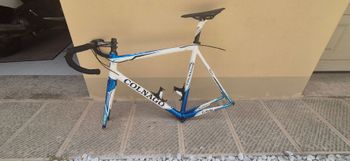 Used Colnago Frame Colnago C59 Colore Italia Frameset 2013 Road & Gravel, White — image 3 of 6