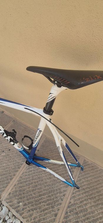 Used Colnago Frame Colnago C59 Colore Italia Frameset 2013 Road & Gravel, White — image 2 of 6