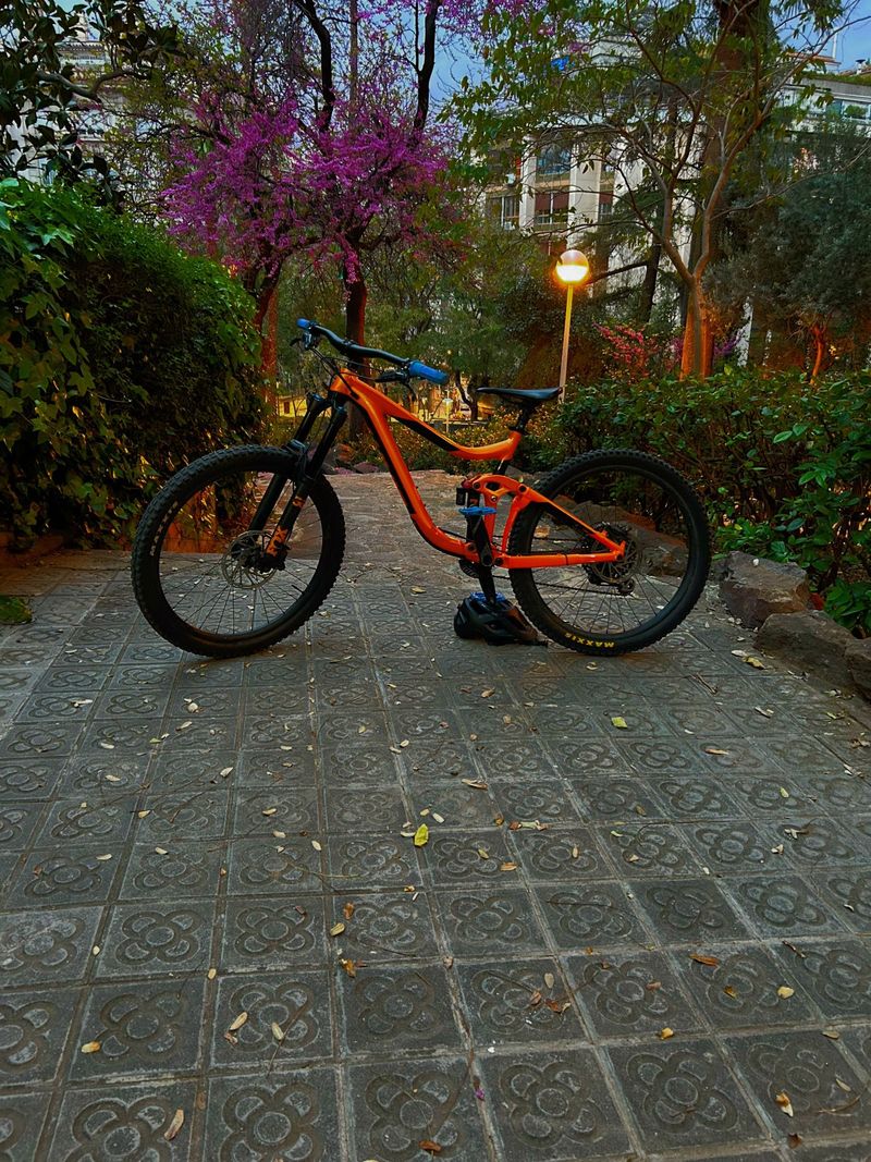 Tweedehands Giant Reign 1 2019 2019 Mountainbike — afbeelding 4 van 6