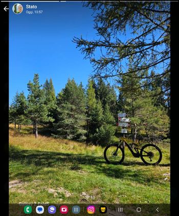 Brugt Mustasch Custom Shimano XTR Di2 2022 Mountainbike — billede 4 af 5