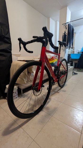 Used Scott Speedster 30 2024 2024 Road & Gravel
