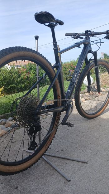 Used Cannondale Scalpel HT Carbon 4 2022 2022 Mountainbike, Black, 29 — image 2 of 3