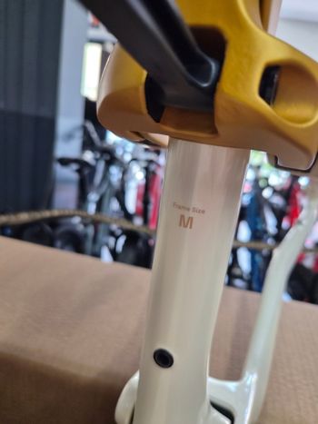 Orbea OIZ M10 AXS 2025 Frameset 2025 Mountainbike d'occasion — image 16 sur 18