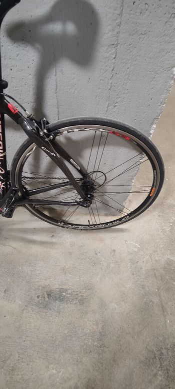 Used Francesco Moser Custom Other Campagnolo 2000 Road & Gravel, Black — image 10 of 16