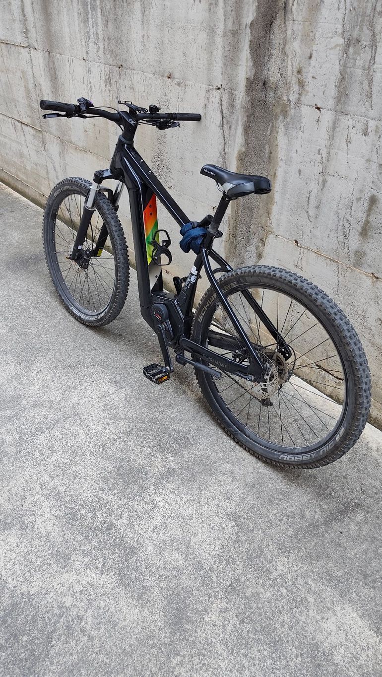 Used Bergamont E-Revox Edition 2026 2026 Mountainbike, Black, 29 — image 2 of 6