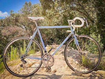 Used Peugeot Velo Other Shimano 1980 Road & Gravel, Blue — image 5 of 7