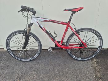 Gebrauchtes Bottecchia Custom Shimano Deore 2010 Mountainbike, Rot — Bild 2 von 8