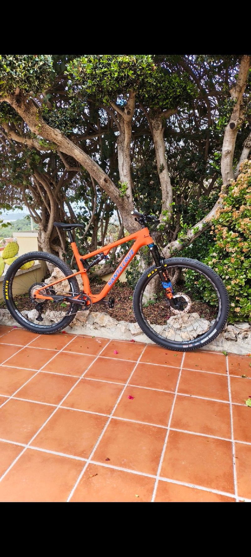 Used Santa Cruz BLUR XT TR / Carbon C 2024 2024 MTB