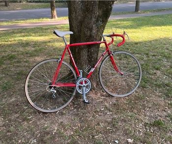 Brugt Bianchi Rekord 905 1989 Road & Gravel