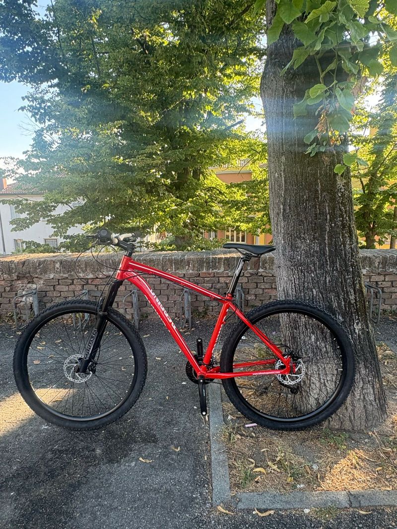 Used Perrino Custom Other Shimano - Mountainbike 2025 Mountainbike, Red — image 2 of 5