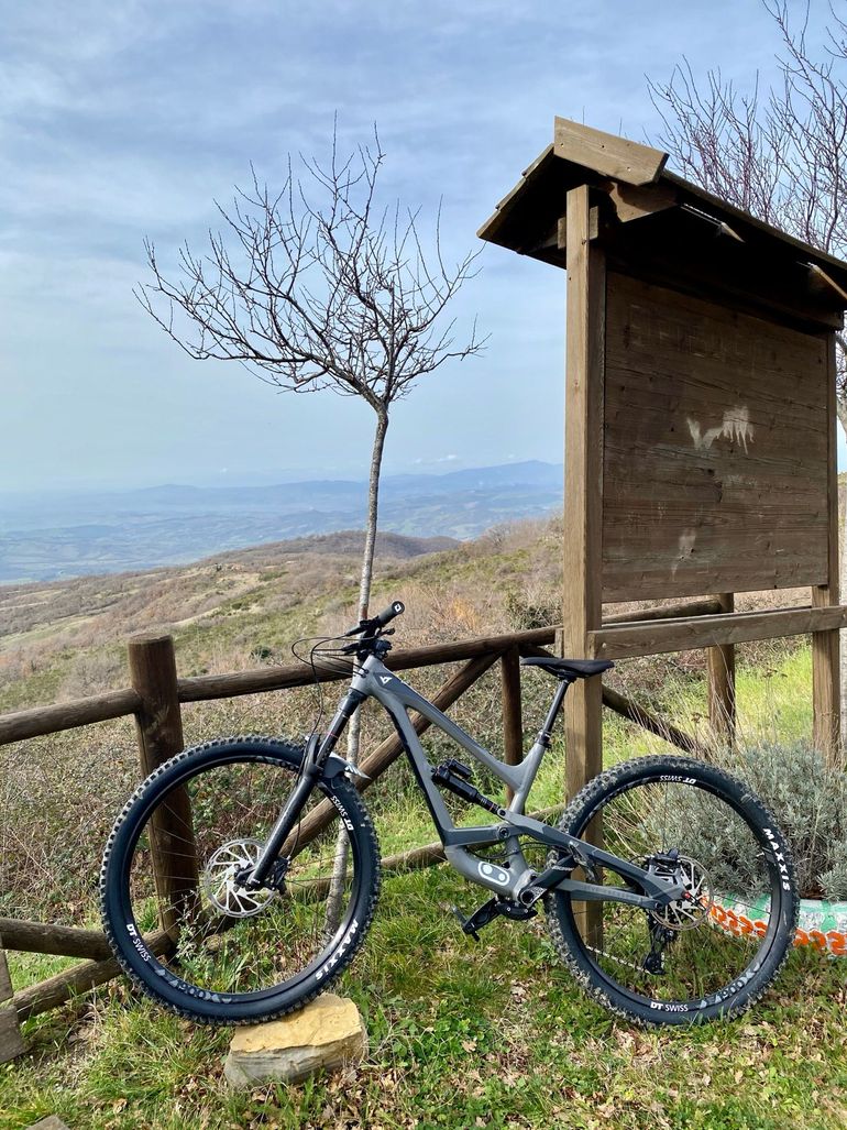 Used YT Industries CAPRA 29 AL Base 2019 2019 Mountainbike, Black, 29 — image 5 of 6