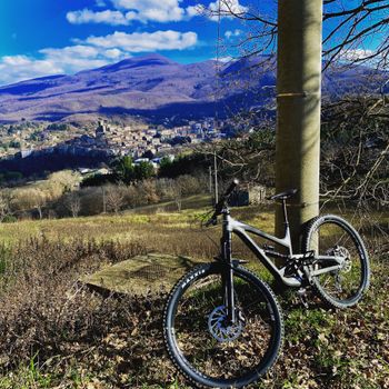 Used YT Industries CAPRA 29 AL Base 2019 2019 Mountainbike, Black, 29 — image 3 of 6