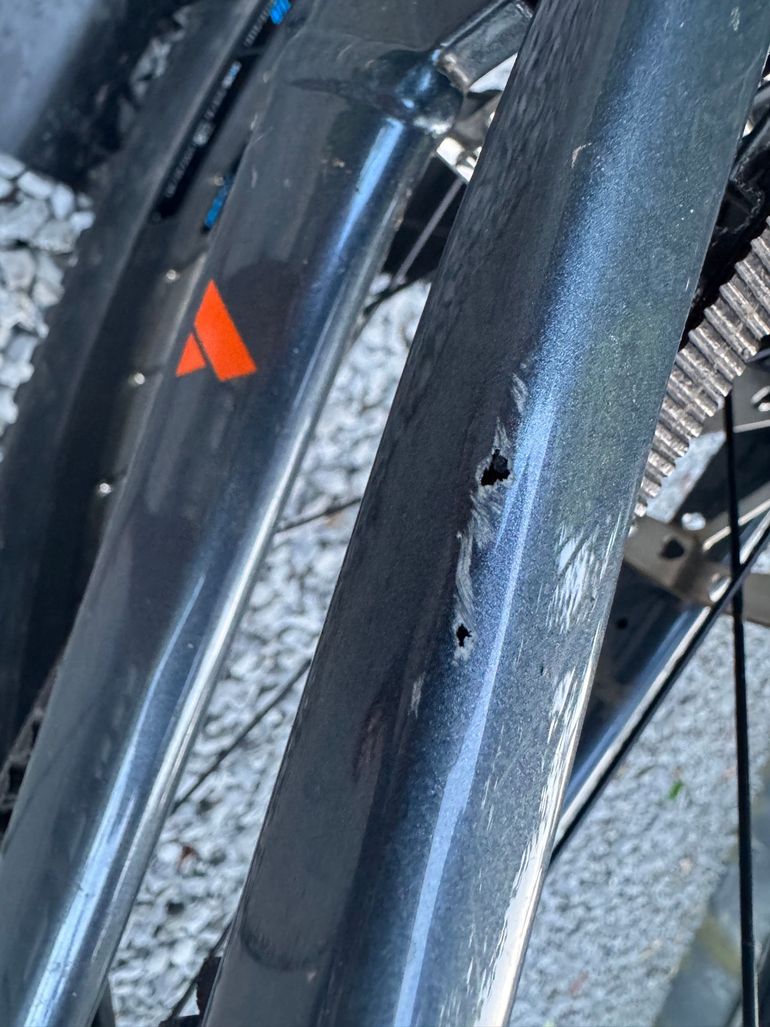Used BULLS Custom Shimano Deore XT 2025 Mountainbike, Light Gray — image 16 of 16