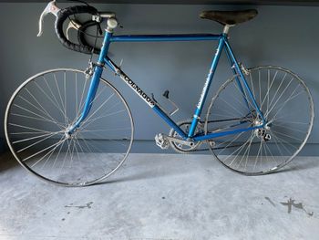 Použité Colnago Arabesque Frameset 2019 2019 Road & Gravel — obrázek 2 z 10