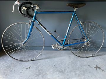Used Colnago Arabesque Frameset 2019 2019 Road & Gravel, Blue — image 2 of 10