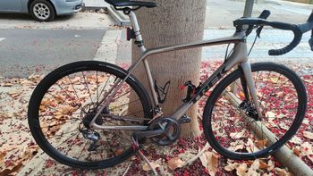Used Trek Émonda SL 6 Disc 2021 2021 Road & Gravel, Light Gray — image 6 of 6