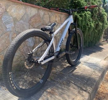Used Rose The Bruce 1 2024 2024 Mountainbike, Light Gray, 26 — image 3 of 3