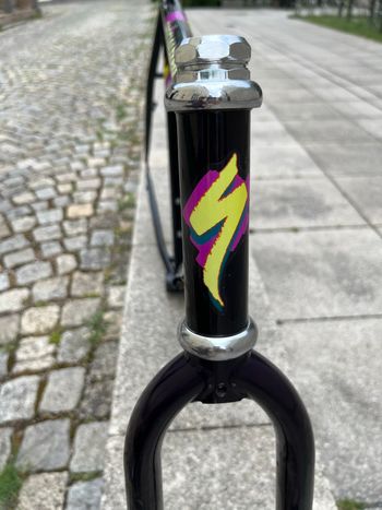 Použité Specialized Stumpjumper Frameset 1989 Mountainbike — obrázek 4 z 13