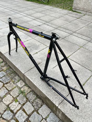 Použité Specialized Stumpjumper Frameset 1989 Mountainbike — obrázek 10 z 13