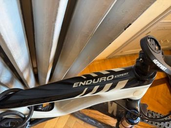 Used Specialized Enduro Expert Carbon 29 2015 2015 Mountainbike, White, 29 — image 2 of 7