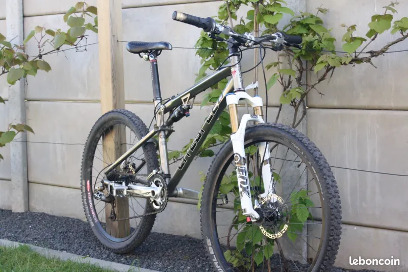 Used Litespeed Seewanee 2019 MTB