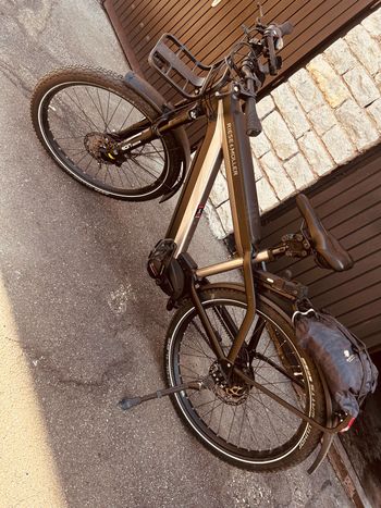 Gebrauchtes Riese & Müller Supercharger 2020 Urban & Touring