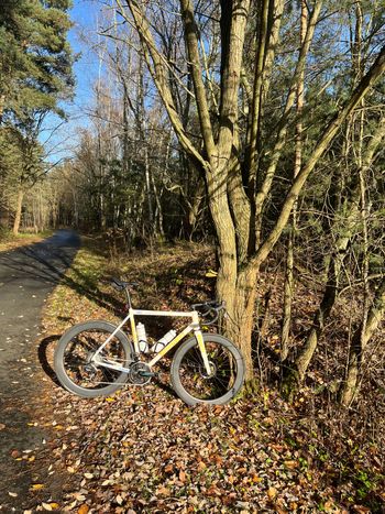 Used Standert Kreissäge RS Team Sram Force eTap AXS POWER METER 2023 2023 Road & Gravel, White — image 7 of 7