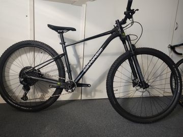 Used Cannondale Trail 2 2023 2023 Mountainbike, Black, 29 — image 12 of 13