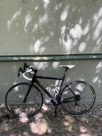Used Rose PRO SL Ultegra 2019 2019 Road & Gravel, Black — image 4 of 19