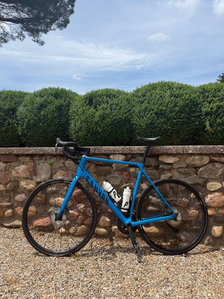 Used Canyon Endurace CF SL 8 Di2 2022 2022 Road & Gravel, Blue — image 2 of 8