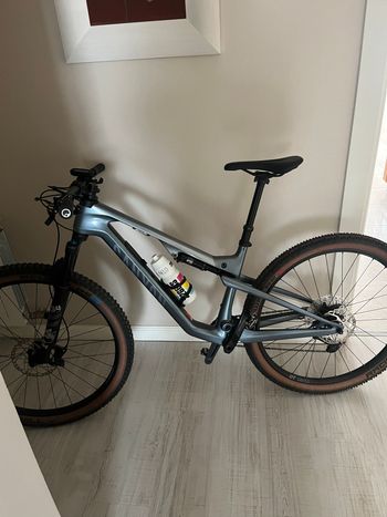 Used Canyon Lux Trail CF 6 2025 2025 Mountainbike, Light Gray, 29 — image 2 of 3