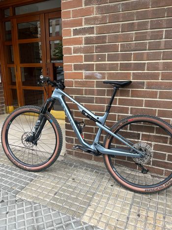 Used Canyon Lux Trail CF 6 2025 2025 Mountainbike, Light Gray, 29 — image 3 of 3