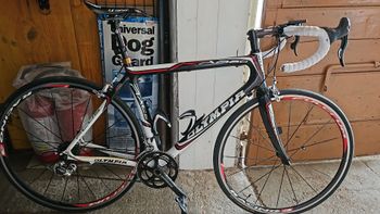 Used Olympia Evo Campagnolo Centaur 2007 Road & Gravel, White — image 5 of 6