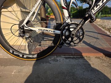 Olympia Evo Campagnolo Centaur 2007 Road & Gravel usato, Bianco — immagine 2 di 6