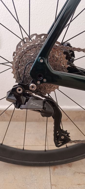 Used Trek Domane SL 6 Gen 4 2026 2026 Road & Gravel, Green — image 4 of 7