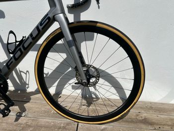Used Focus IZALCO MAX 9.8 2022 2022 Road & Gravel, Light Gray — image 3 of 11