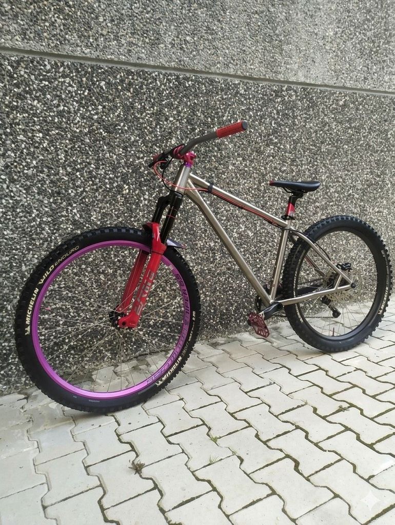 Gebrauchtes ArteBici Titan Hardtail Enduro 2021 Mountainbike, Hellgrau — Bild 1 von 7