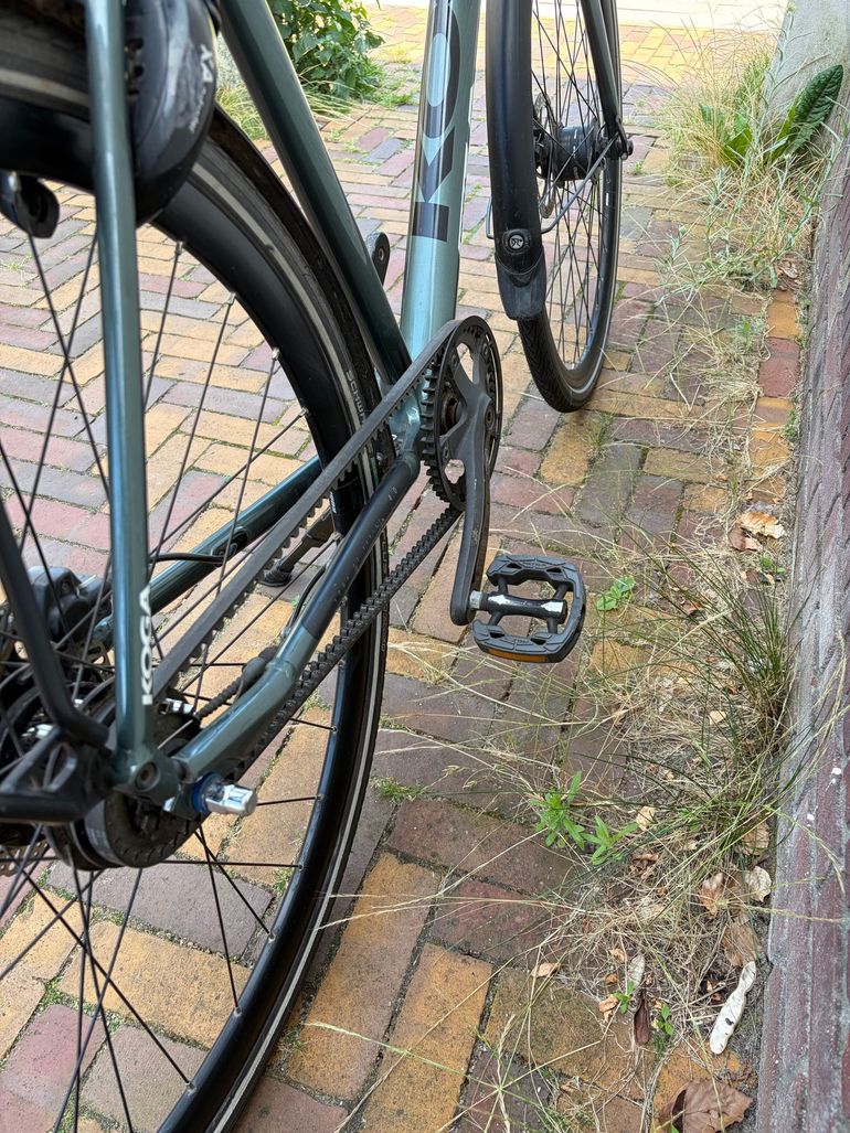 Used Koga Custom Shimano Alfine 8 hub gears 2022 Urban, Green — image 9 of 10