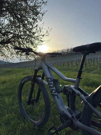 Brugt Rose Root Miller Plus 3 2024 2024 Mountainbike — billede 4 af 5