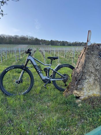 Brugt Rose Root Miller Plus 3 2024 2024 Mountainbike — billede 3 af 5