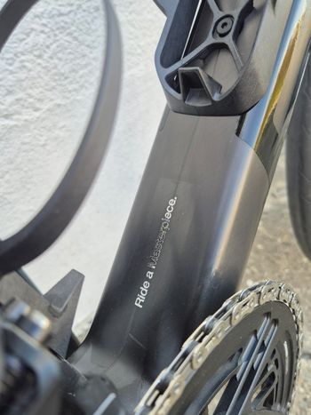 BMC Teammachine SLR Masterpiece 2024 Frameset 2024 Road & Gravel d'occasion — image 6 sur 8