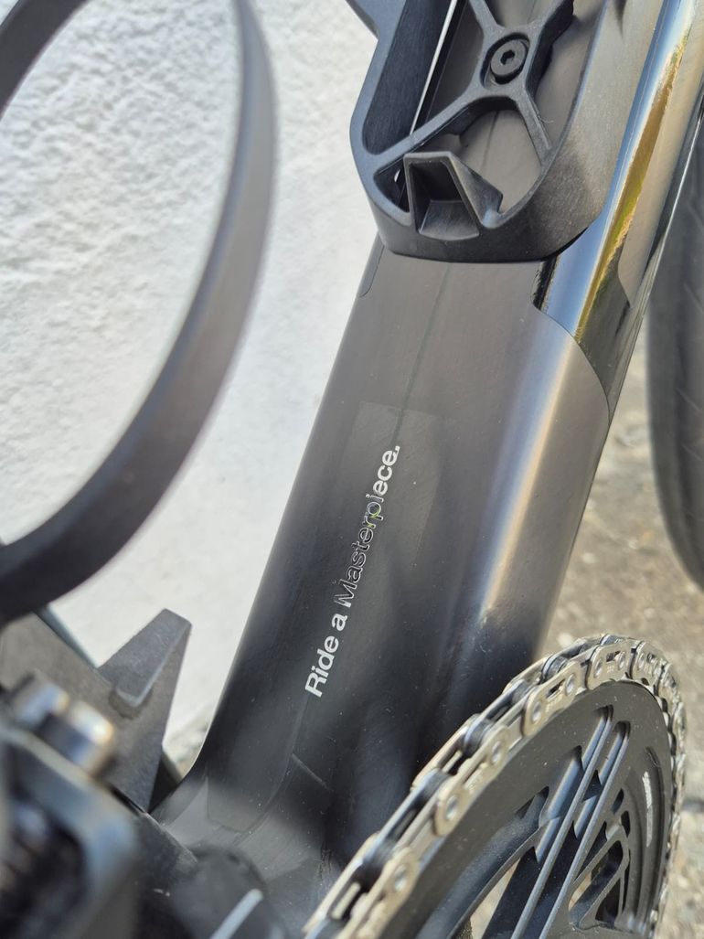 BMC Teammachine SLR Masterpiece 2024 Frameset 2024 Road & Gravel d'occasion — image 6 sur 8