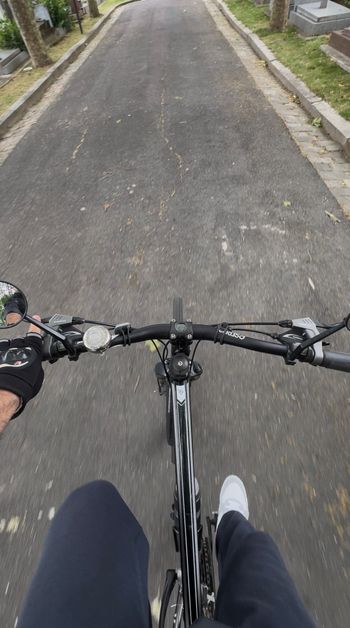 Used Trek Dual Sport 2 2019 2019 Urban, Black — image 7 of 7