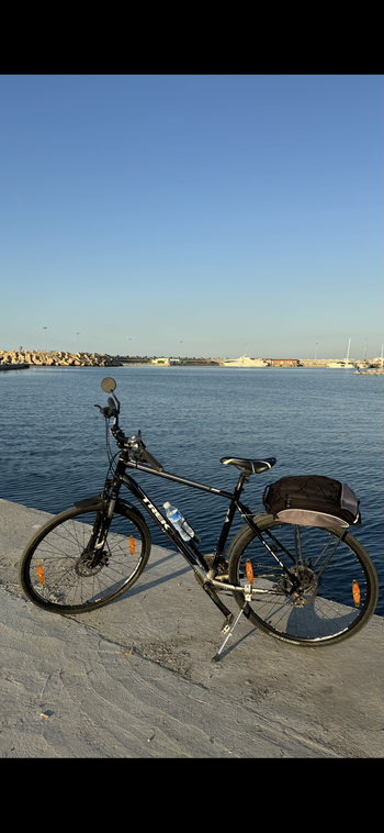 Used Trek Dual Sport 2 2019 2019 Urban & Touring