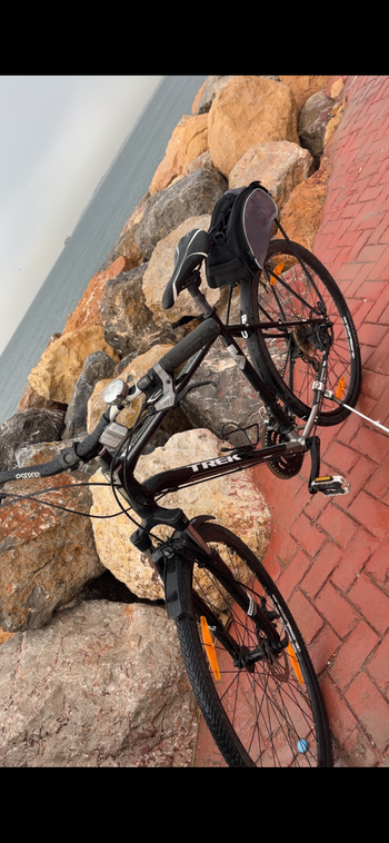 Used Trek Dual Sport 2 2019 2019 Urban, Black — image 4 of 7