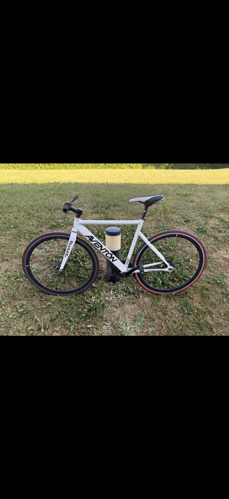 Used Aventon Vélo Route Pingnon Fixe 2022 Road & Gravel, White — image 5 of 5