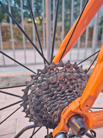 Used Pinarello Dogma Frameset 2017 Road & Gravel, Orange — image 6 of 10
